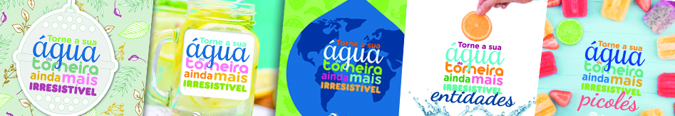 livros agua irresistivel