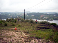 Gestão Florestal e promoção da Biodiversidade 