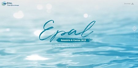 relatorio e contas 2018