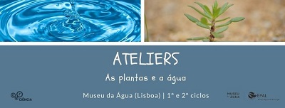 ateliers plantas  2023