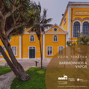 BARBADINHOS A VAPOR_visita temática BARBADINHOS A VAPOR_visita temática