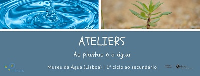 ateliers plantas água ago 2018