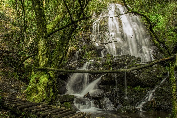 foto agua em estado puro